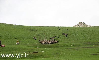 عجیب‌ترین روش‌های خاکسپاری ,دفن کردن مردگان
