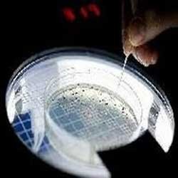 تولید سوخت از فاضلاب با خورشید,دستگاه هیبریدی خورشیدی 