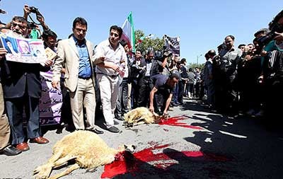 روحانی,تصاویر استقبال کنندگان رييس جمهور