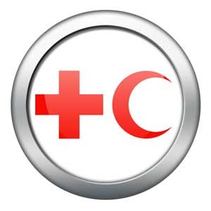 سازمان ملل متحد ,کمک داوطلبانه 