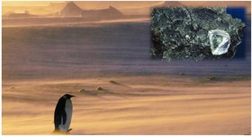 اخبار,اخبار علمی,الماس در قطب جنوب اخبار,اخبار علمی,الماس در قطب جنوب