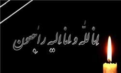 اخبار ,اخبار سیاسی ,درگذشت خواهر مهدی کروبی
