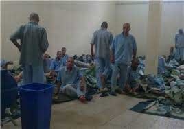اخبار,اخبار اجتماعی,اردوگاه شفق