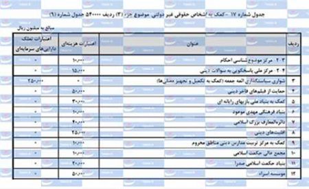 اخبار,اخبار اقتصادی,سهم نهادهای غیر دولتی از بیت المال
