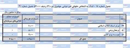 اخبار,اخبار اقتصادی,سهم نهادهای غیر دولتی از بیت المال