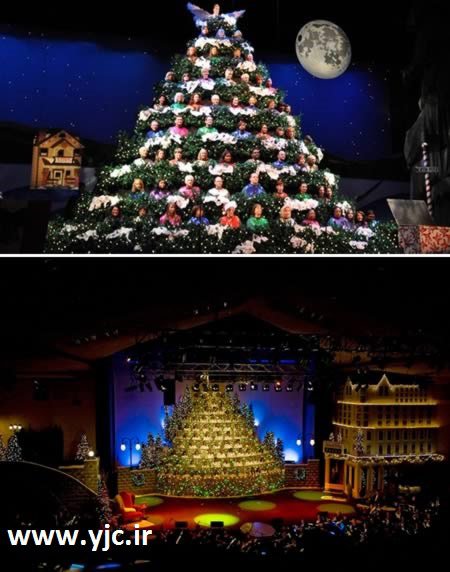 اخبار,اخبار گوناگون,متفاوت ترین درخت های کریسمس,تصاویر درخت کریسمس آواز خوان