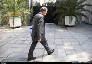 اخبار ,اخبار سیاسی ,محمدعلی نجفی