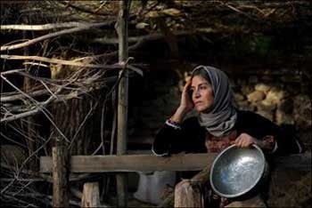 اخبار ,اخبار فرهنگی ,جشنواره فیلم فجر