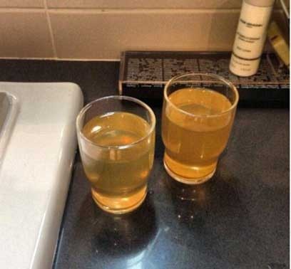 اخبار ,اخبار ورزشی,المپیک زمستانه سوچی