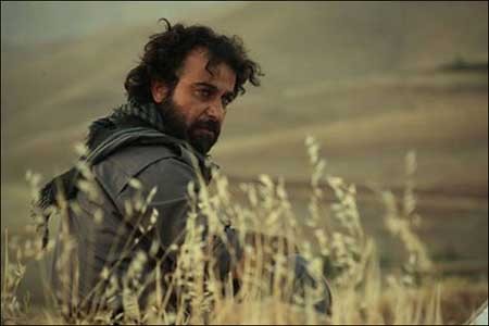 اخبار ,اخبار فرهنگی ,فیلم سینمایی عاشق‌ها ایستاده می‌میرند
