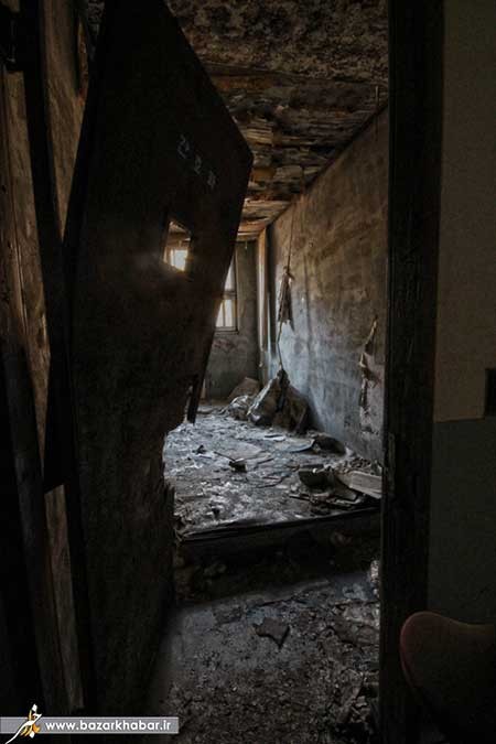 اخبار ,اخبار گوناگون ,تیمارستان