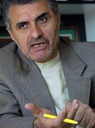اخبار,اخبارسیاسی,صفایی فراهانی