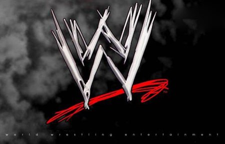 اخبار,اخبار ورزشی,معرفی کشتی گیران WWE ,آشنایی با پولدارترین کشتی گیران