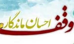 اخبار,اخبار اجتماعی, وقف های جالب و شگفت انگیز اخبار,اخبار اجتماعی, وقف های جالب و شگفت انگیز