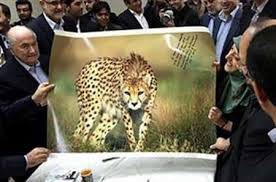 اخبار,اخبارورزشی,پیراهن جدید تیم ملی فوتبال ایران