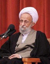 اخبار,اخبارسیاسی,واکنش اعضای مجلس‌خبرگان به سخنان مصباح