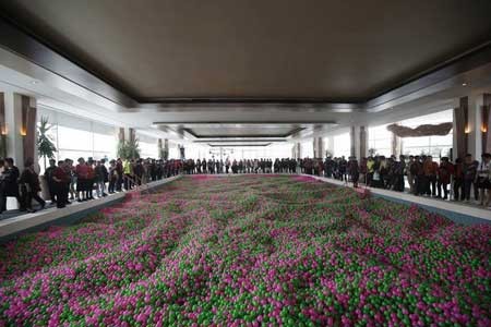 استخر توپ های رنگی در شانگهای چین