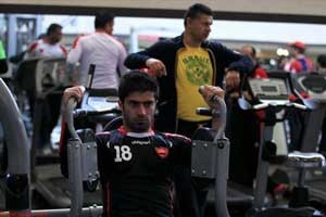 اخبار,اخبار ورزشی,باشگاه پرسپوليس 