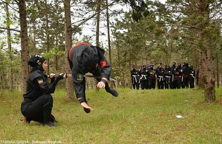 اخبار,اخبار ورزشی ,دختران نینجوتسو کار