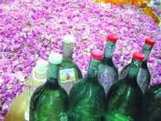 اخبار,اخبار اجتماعی,گرانترین روغنها اخبار,اخبار اجتماعی,گرانترین روغنها