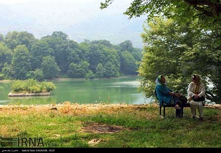 اخبار,اخبار فرهنگی ,هنرمندان سینما