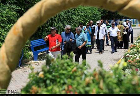 اخبار,اخبار فرهنگی ,هنرمندان سینما