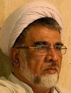 اخبار ,اخبار سیاسی ,محمدتقی فاضل میبدی