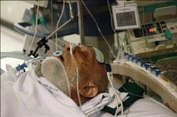اخبار,اخبار سیاسی , وضعیت آیت الله مهدوی کنی 