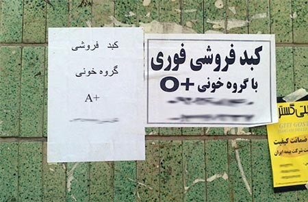 اخبار,اخبار سیاسی ,نمایندگان دلواپس مجلس