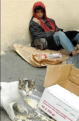 اخبار,اخبار سیاسی ,نمایندگان دلواپس مجلس
