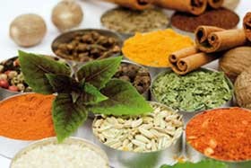 اخبار ,اخبار دانشگاه ,آزمون دکتری‌ طب سنتی