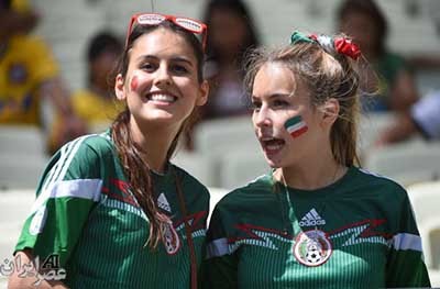 اخبار,اخبار ورزشی,تماشاگران جام جهانی برزیل