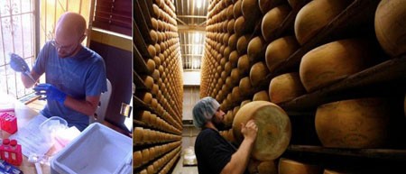 اخبار , اخبار علمی,تولید پنیر آزمایشگاهی,تولید پنیر بدون شیر