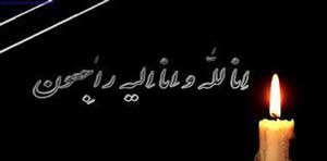 اخبار,اخبار ورزشی ,فوتسال