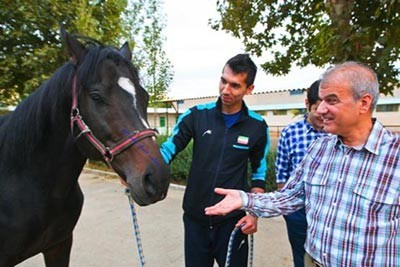 اخبار,اخبار ورزشی,فرهاد قائمی