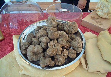 اخبار , اخبار گوناگون , گران‌ترین ماده‌ها