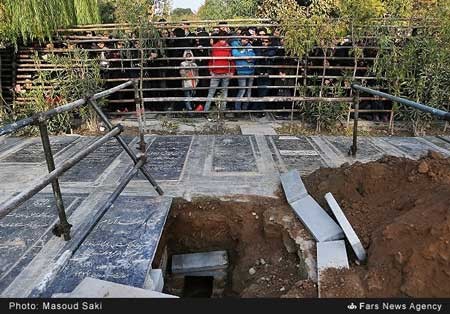 اخبار,اخبار فرهنگی , مرتضی پاشایی