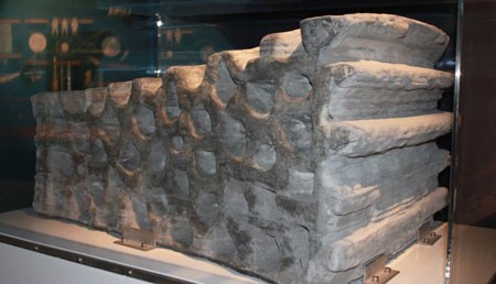 اخبار , اخبار علمی , سکونتگاههای انسانی