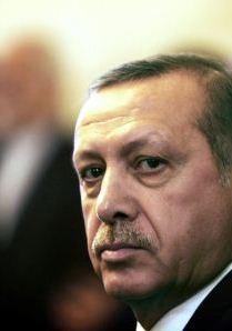 اخبار,اخبار بین الملل , توهین به اردوغان