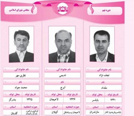 اخبار,اخبار سیاسی , نماینده مجلس 