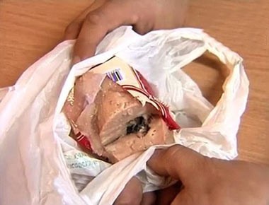 اخبار,اخبار گوناگون,موش