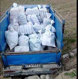 اخبار,اخبار اجتماعی ,خودرو حامل کیسه های پول