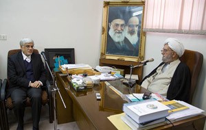 اخبار,اخبارسیاسی,آیت‌الله ابراهیم امینی