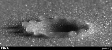 اخبار,اخبار علمی,چگونگی برخورد قطرات باران با زمین