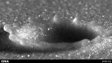 اخبار,اخبار علمی,چگونگی برخورد قطرات باران با زمین