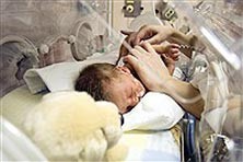 اخبار,اخبار اجتماعی , نوزادان نارس اخبار,اخبار اجتماعی , نوزادان نارس
