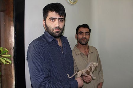 اخبار,اخبار حوادث, کلاهبرداری اخبار,اخبارحوادث, کلاهبرداری