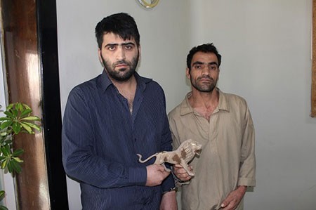 اخبار,اخبار حوادث, کلاهبرداری اخبار,اخبارحوادث, کلاهبرداری