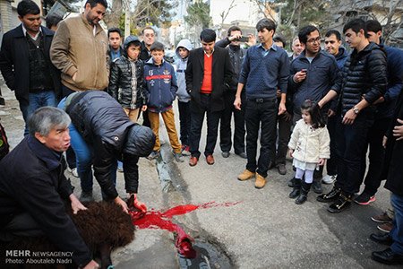اخبار,اخبارورزشی,استقبال مردمی از سردار آزمون