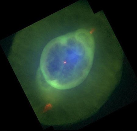 اخبار,اخبار,ستارگان